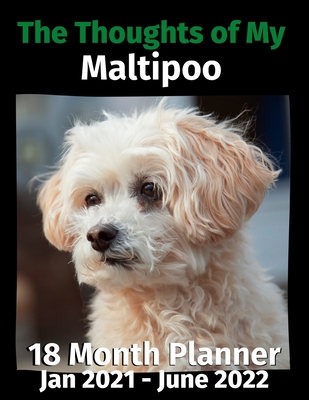 The Thoughts of My Maltipoo: 18 Month Planner J... B08HJ53BCL Book Cover