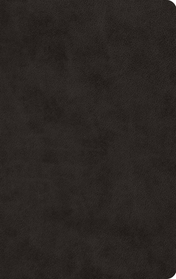 ESV Large Print Value Thinline Bible (Trutone, ... [Large Print] 1433555972 Book Cover