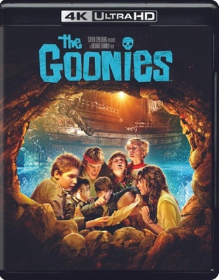 The Goonies            Book Cover