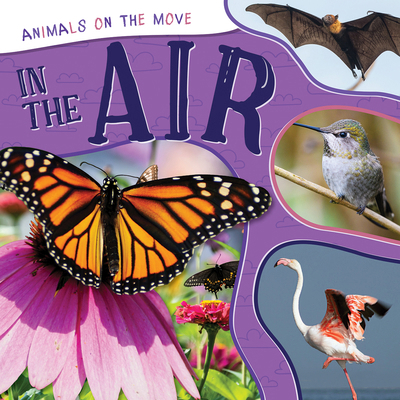 In the Air 149945581X Book Cover