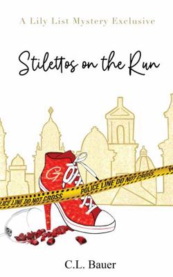 Paperback Stilettos on the Run Book