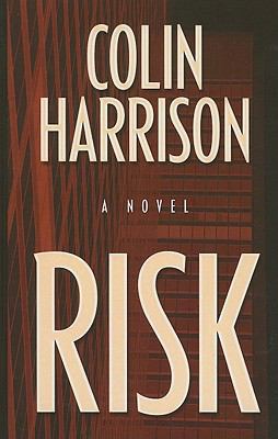 Risk [Large Print] 1410424618 Book Cover