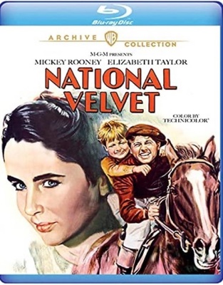 National Velvet B09HMYTSYK Book Cover