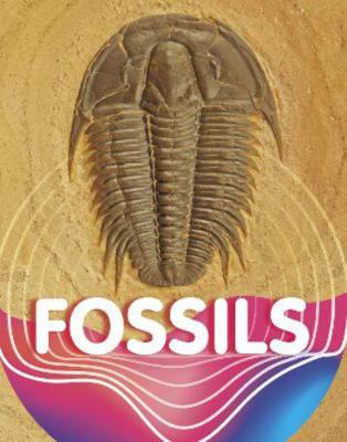 Fossils (Earth Materials and Systems) 1398204080 Book Cover