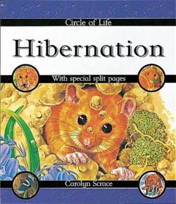 Hibernation (Circle of Life) 0749642300 Book Cover