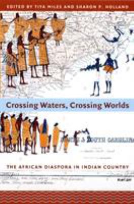 Crossing Waters, Crossing Worlds: The African D... 0822338653 Book Cover