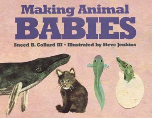 Making Animal Babies 0395953170 Book Cover