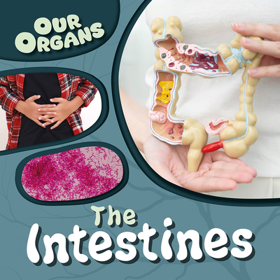 The Intestines 148247798X Book Cover
