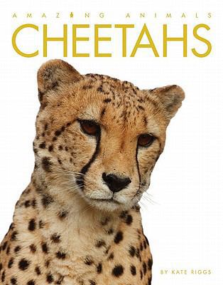 Amazing Animals: Cheetahs 0898125618 Book Cover