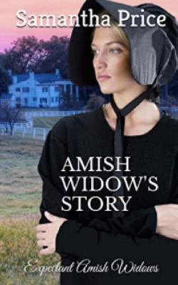 Amish Widow's Story 1544634986 Book Cover
