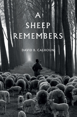 A Sheep Remembers 1800400799 Book Cover