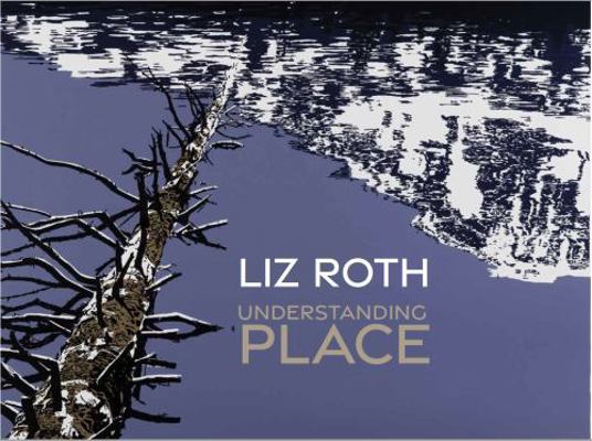 Paperback Liz Roth : Understanding Place Book