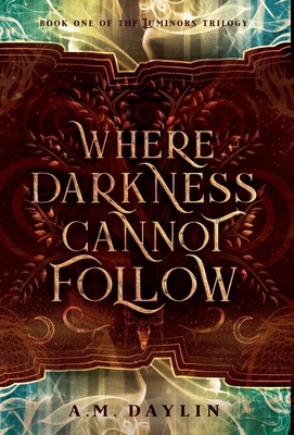 Where Darkness Cannot Follow B0D65BG6Q1 Book Cover