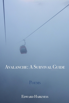 Avalanche: A Survival Guide 1958728152 Book Cover