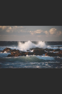 Em um mar de emo??es [Portuguese] B09BTCBKT5 Book Cover