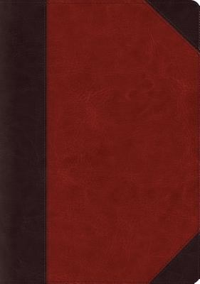 ESV Systematic Theology Study Bible (Trutone, B... 1433553384 Book Cover