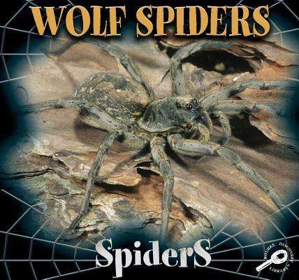 Wolf Spiders 1595154507 Book Cover