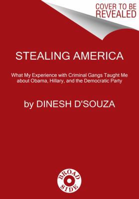 Stealing America: What My Experience with Crimi... 0062366726 Book Cover