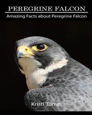 Amazing Facts about Peregrine Falcon 1090466714 Book Cover