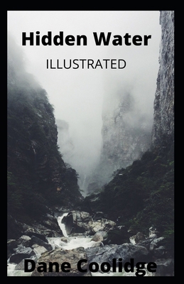 Hidden Water Illustrated B08T4DD39K Book Cover