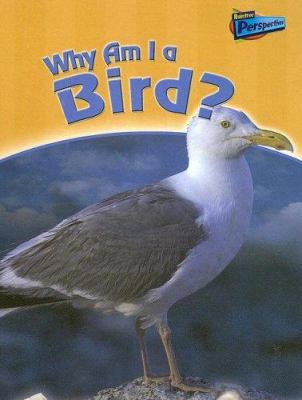 Why Am I a Bird? 1410920143 Book Cover