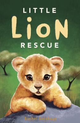 Little Lion Rescue (Little Animal Rescue) 1788950682 Book Cover