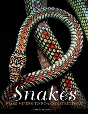 Snakes: From Vipers to Boa Constrictors 1838862846 Book Cover