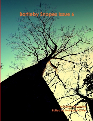 Bartleby Snopes Issue 6 1257896377 Book Cover