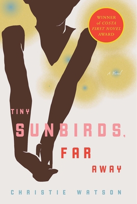 Tiny Sunbirds, Far Away B0091LZPO0 Book Cover