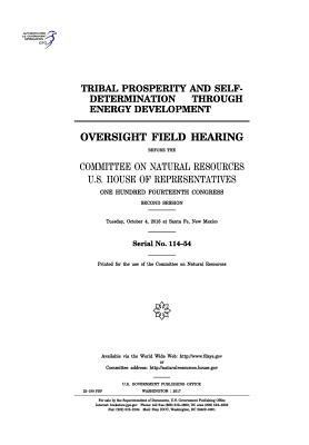 Tribal prosperity and self-determination throug... 1975839056 Book Cover