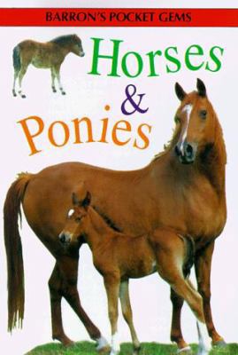 Horses and Ponies 0812065883 Book Cover