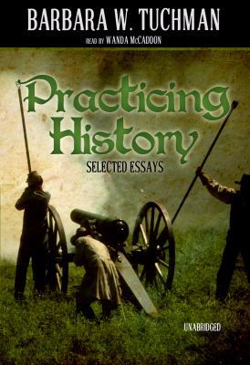 Practicing History: Selected Essays 1441706178 Book Cover