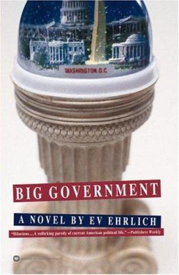 Big Government 0446675555 Book Cover