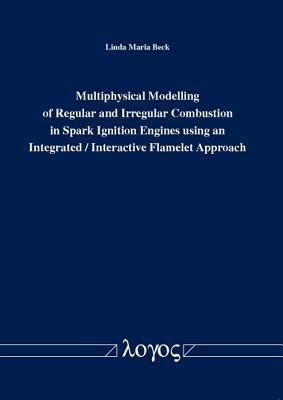 Multiphysical Modelling of Regular and Irregula... 3832534261 Book Cover