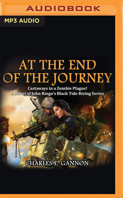 At the End of the Journey 1713619199 Book Cover