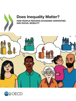 Does Inequality Matter? 9264775951 Book Cover