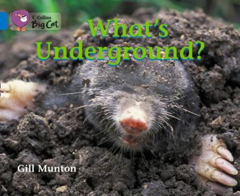 What's Underground? 0007475926 Book Cover