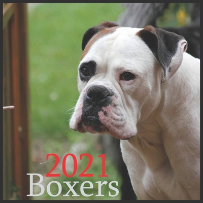 Boxers 2021: 2021 Wall & Office Calendar, 12 Month Calendar B08HGLNKNC Book Cover