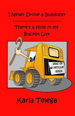 I Never Drove a Bulldozer: There's a Hole in my... 0984800336 Book Cover