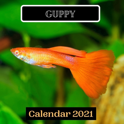 Guppy Calendar 2021