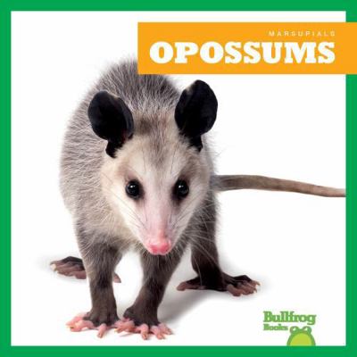 Opossums            Book Cover