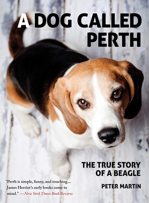 A Dog Called Perth: The True Story of a Beagle 161145879X Book Cover