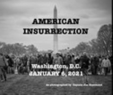 Hardcover American Insurection Book