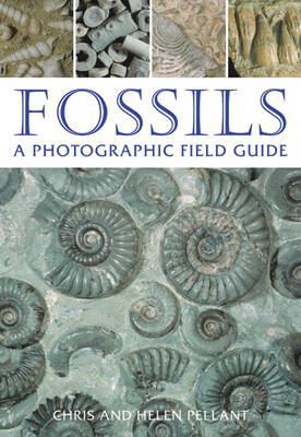 Fossils: A Photographic Field Guide 1845373367 Book Cover