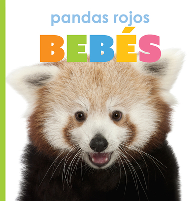 Pandas Rojos Bebés [Spanish] 1628329939 Book Cover