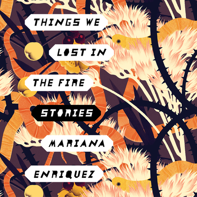 Things We Lost in the Fire: Stories 1681684632 Book Cover