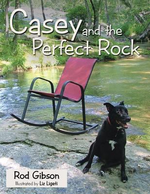 Casey and the Perfect Rock 1489703209 Book Cover