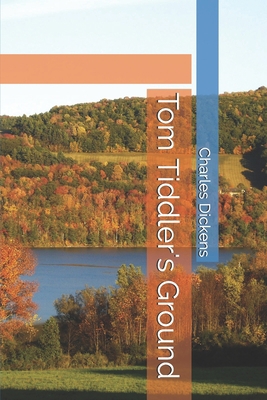 Tom Tiddler's Ground B086FZWKYM Book Cover