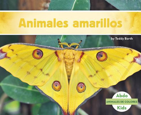Animales Amarillos (Yellow Animals) [Spanish] 1496612167 Book Cover