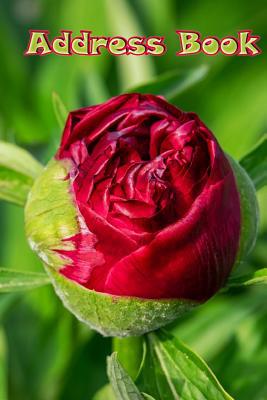 Address Book: Address Book: Modern Rose Floral ... 1719249776 Book Cover